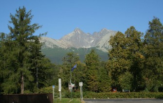 article_250